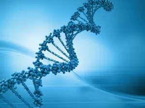 DNA-Strand