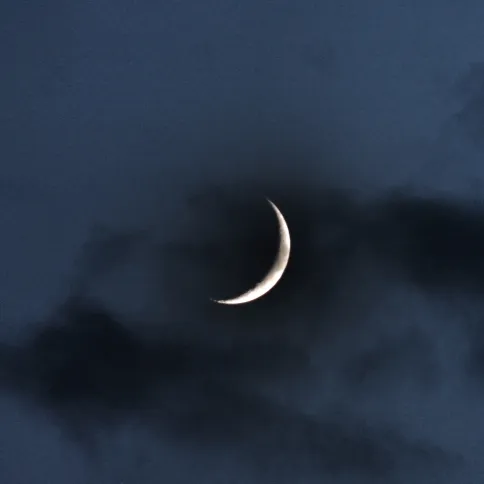 luna-nuova-ok
