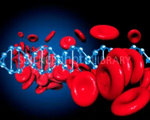 DNA and red blood cells, conceptual computer artwork.