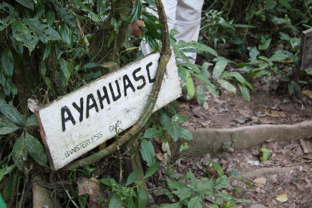 ayahuasca